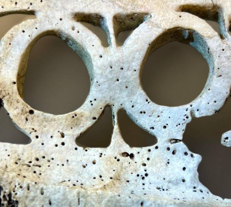 Shell Plaque (Barava) from Solomon Islands, 19th Century