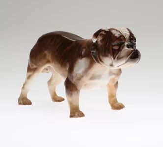 Bulldog. Royal Doulton
