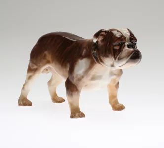 Bouledogue. Royal Doulton