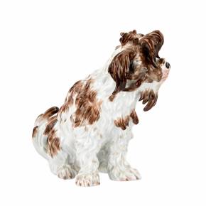 Un beau chien de poche en porcelaine de Meissen d`une seule pièce, XIXe siècle. 