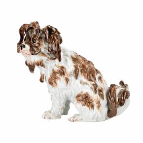 Un beau chien de poche en porcelaine de Meissen d`une seule pièce, XIXe siècle. 