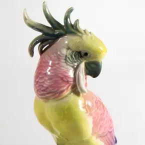 Figure dun perroquet rose. Karl Ens
